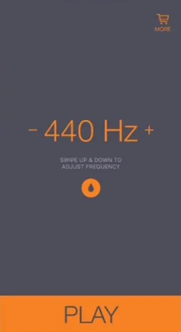 Sonic Speaker Cleaner app Display